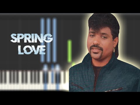 Spring Love - Stevie B