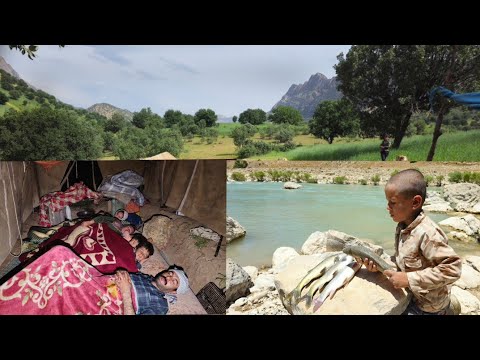 🎬 Nomadic Father and Son Catch a Huge Fish | Wild Zagros Mountain Life