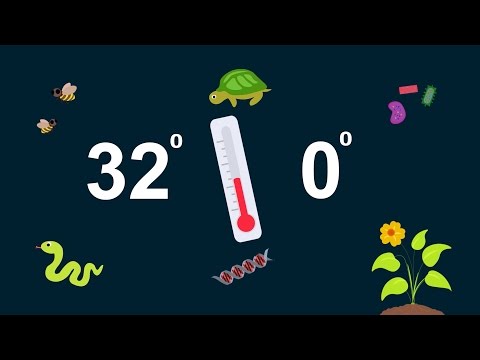 Python Thermoregulation | Ask A Biologist