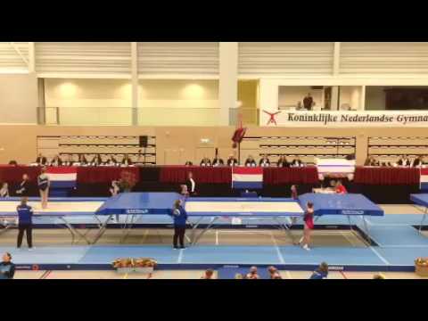 NK Trampoline Teams 2016. Keuze oefening 2.9