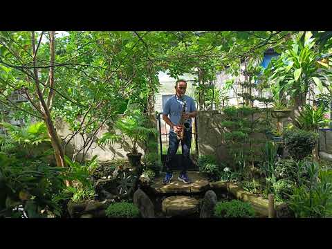 From This Moment by ShaniaTwain (Saxophone cover by Johnny Noay)