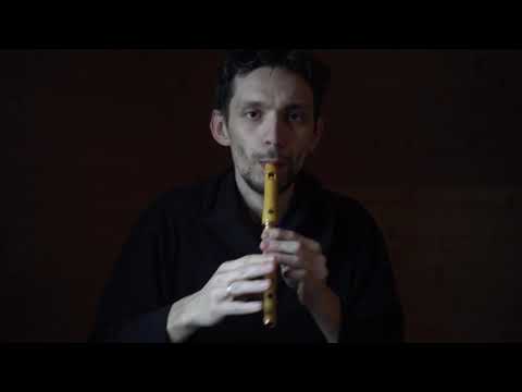 Whistle D boxwood - HarmonyFlute