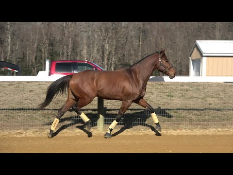 Big Bad Shack 1 12 22