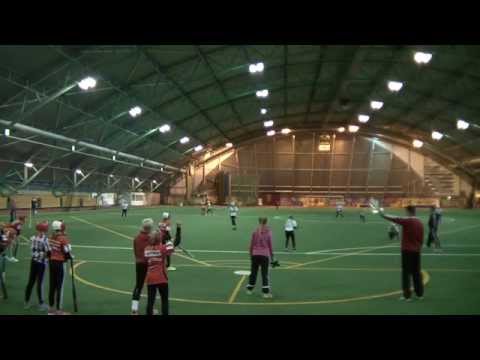 Pesäkarhut - Mailajuniorit D-tytöt 2015, keskitalven pelejä