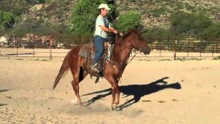 preview picture of video 'SOLD...SlipKnot is SOLD.. AQHA #5079863...Twister Heller'