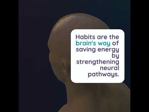 The Neuroscience of Habits: How to Reshape Your Brain for Success – POC ...