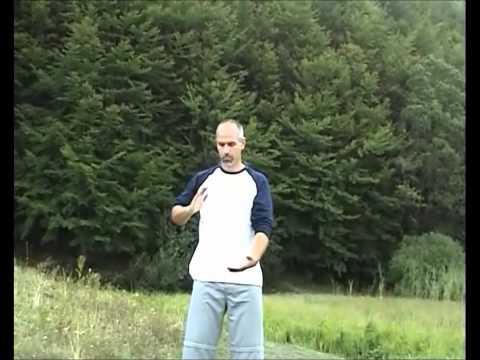 29 Trattamento a Distanza