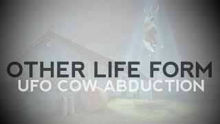 UFO COW ABDUCTION