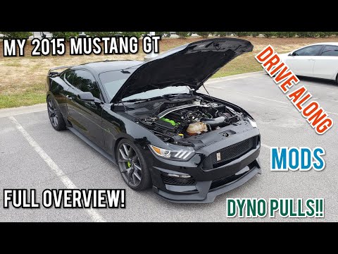 My 2015 Ford Mustang GT | Full Review, Dyno, & Drive!