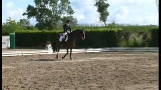 preview picture of video 'RUBINSTEIN (Rubes) dressage'