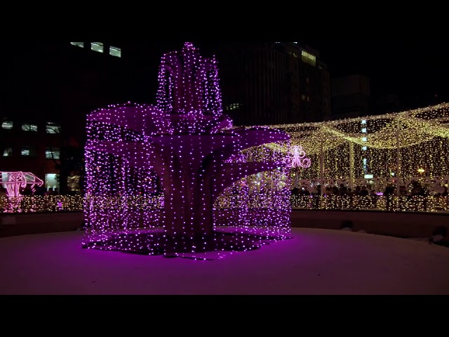 過去のさっぽろホワイトイルミネーションダイジェストムービー /Sapporo White Illumination Movie