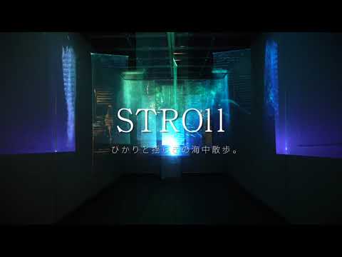 造形デザイン学科 ビデオインスタレーション『STROll』