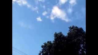 Starling murmuration and eagles