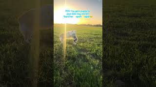 Download lagu Lulu found her spark again mp3