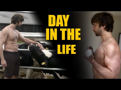 The Life of Asif Khan | Cardio and Cows | Day 86