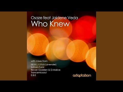 Who Knew (Mr A.L.I Instrumental Mix) (feat. Jaidene Veda)