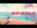 Farruko - Never Let You Go (feat. Pitbull) [Official Lyric Video]