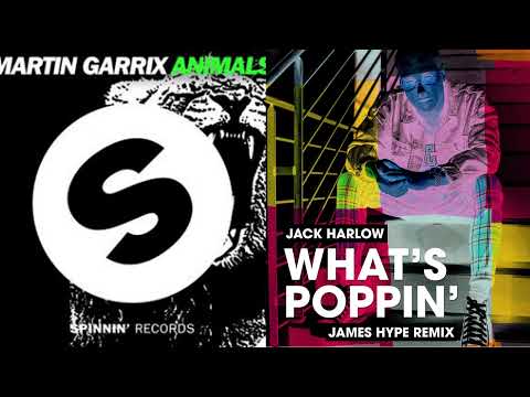 Martin Garrix Vs Jack Harlow & James Hype - Animals Vs What's Poppin