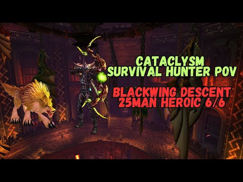 Blackwing Descent 25M 6/6 Heroic - Survival Hunter PoV