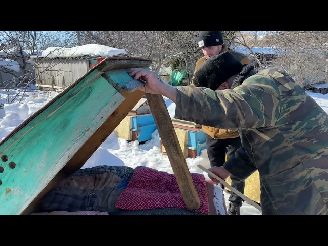 “Бал кортының балы бар, балга кадәр, назы бар” дигән әйтем бар