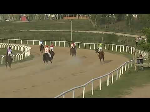 SINT FLORIDA 230512 c09 1° BLANCO PILLO