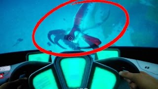 QUELLE EST CETTE CRÉATURE Subnautica #3 