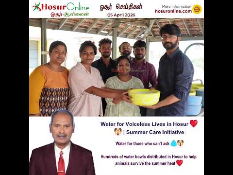 Water Bowl Distribution Initiative Helps Animals Beat Summer Heat in Hosur