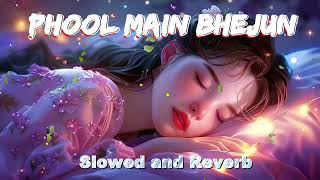 Download lagu Phool Main Bheju | Kumar Sanu | Lata Mangeshkar | Slowed Ang Reverb | Love Song | Vyas Lofi mp3 Download lagu Phool Main Bheju | Kumar Sanu | Lata Mangeshkar | Slowed Ang Reverb | Love Song | Vyas Lofi mp3