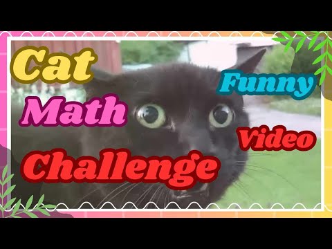 Funny Videos | Must Watch! | Charlyn Neri Vlogs