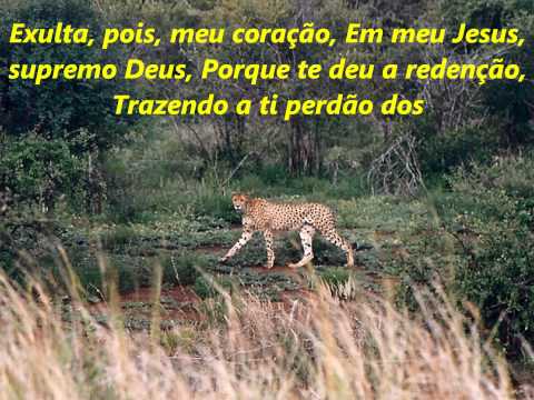 Oh, Dia Feliz video