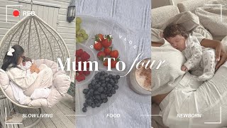 Newborn Day In The Life: Mom of Four’s Daily Routine & Newborn + Toddler Care Tips