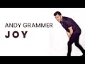 Andy Grammer  - Joy Lyrics Video