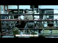 Fighters DVD Trailer By Digital Playground