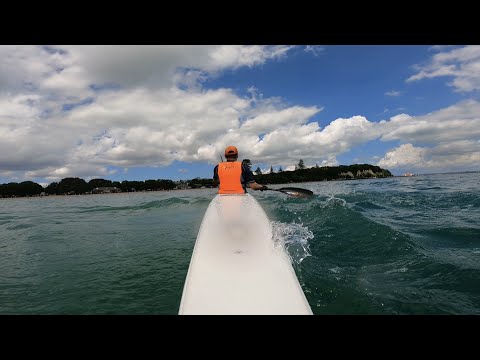 Quick paddle - Epic V10L