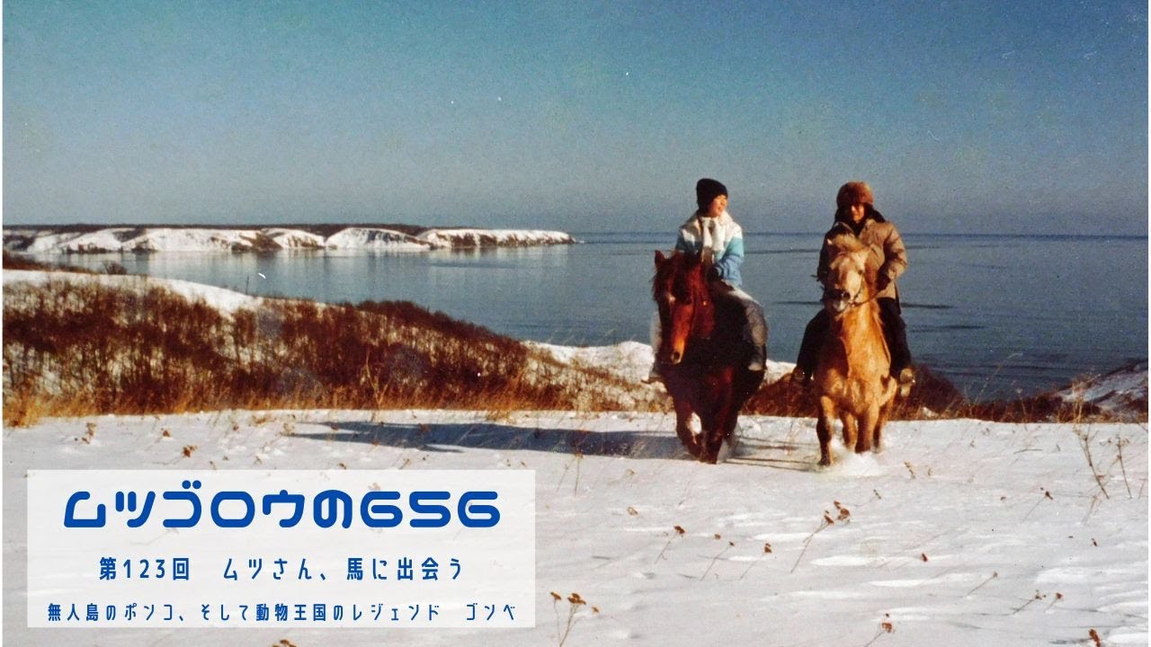 第123回 　ムツさん、馬に出会う　無人島のポンコ、そして動物王国のレジェンド　ゴンベ