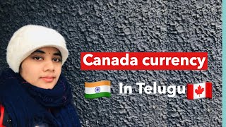 #VLOG Canada Currency in Telugu |  #canadacurrency | #Teluguvlogs #Canadatelugu | Srivani Talks