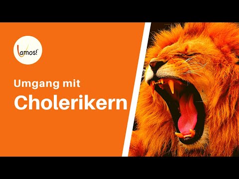 Hotheads: How to deal with hotheads | Dagmar Gerigk