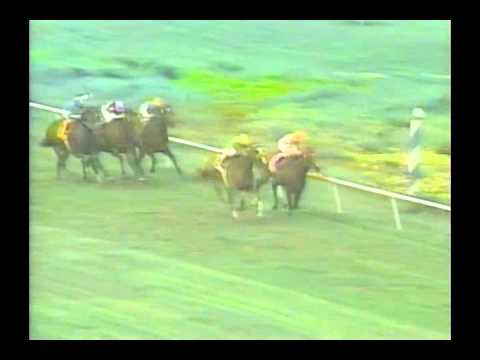 1993 Sunset Handicap