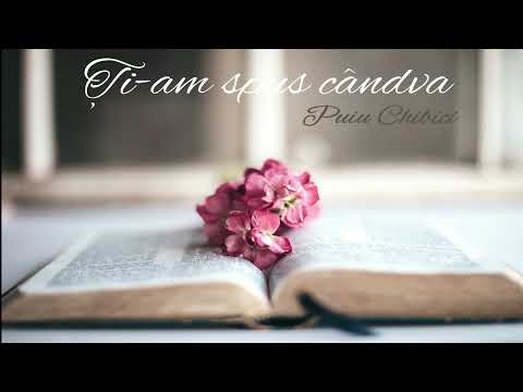 Album (25) Ți-am spus cândva "N-am să Te las!" - Puiu si Beni Chibici