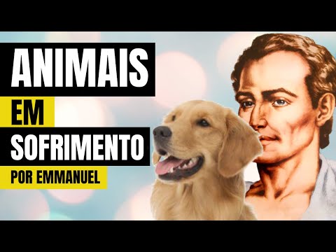 ANIMALS IN SUFFERING | Message from Emmanuel psychographed by Chico Xavier