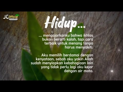 Berdamai Dengan Kenyataan #quotes #videomotivasi #katakatabijak #motivasihidup #video 