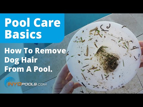 YouTube video about: How to get dog hair out of pool?