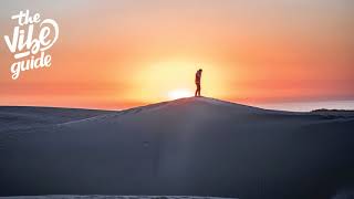 A R I Z O N A - Freaking Out