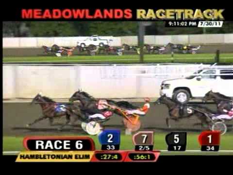 Hambletonian elimination II at Meadowlands Racetrack - Race 6