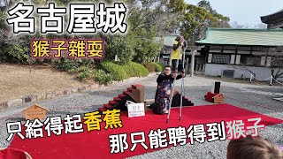 【日旅】名古屋城 | 猴子表演