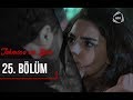 Təhminə Və Zaur 25 Ci Bölüm