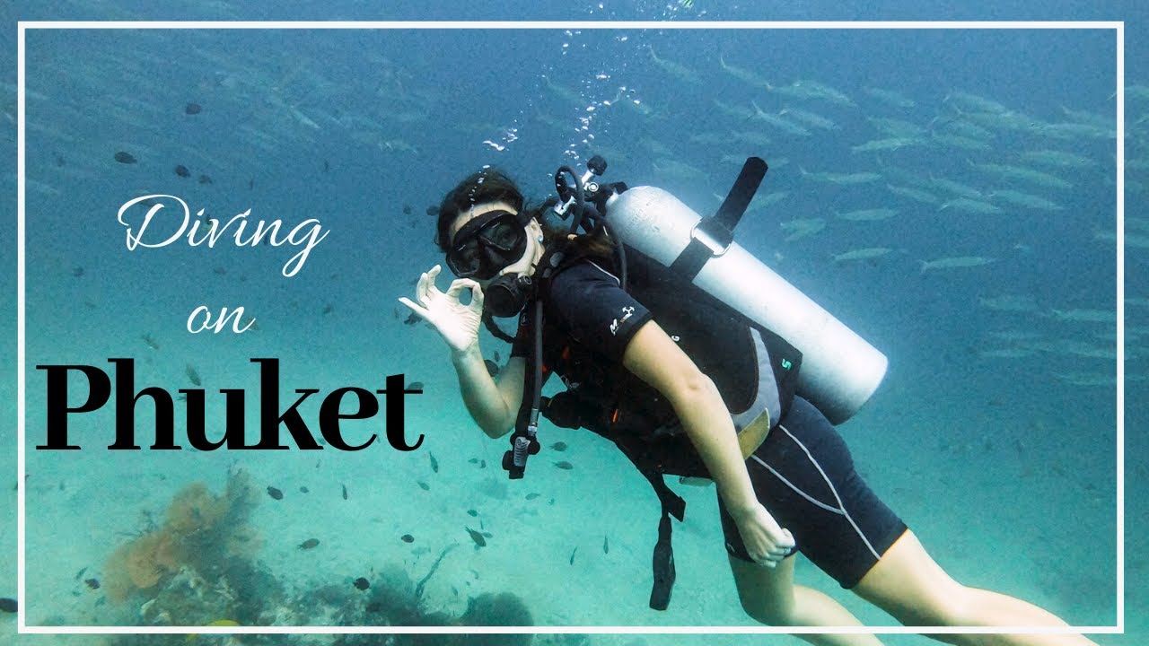 Experience King Cruiser Wreck Diving adventure through the lens of tourists.