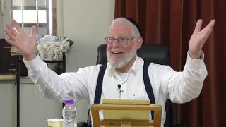 Parshas Shoftim
