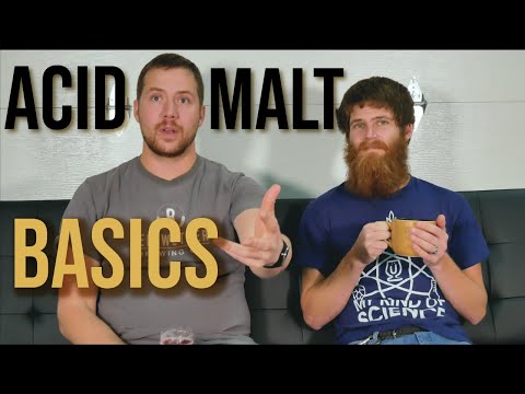 Everything You Need to Know about Acidulated Malt (acid Malt) - Home Brew Basics