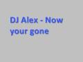 DJ Alex - Now your gone *Lyrics* 